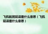 飞机航班延误是什么意思（飞机延误是什么意思）