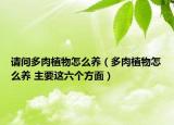 请问多肉植物怎么养（多肉植物怎么养 主要这六个方面）
