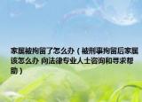 家属被拘留了怎么办（被刑事拘留后家属该怎么办 向法律专业人士咨询和寻求帮助）