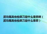 武功再高也怕菜刀是什么意思啊（武功再高也怕菜刀是什么意思）