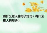 有什么撩人的句子短句（有什么撩人的句子）