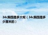 34c胸围是多大呢（34c胸围是多少厘米的）