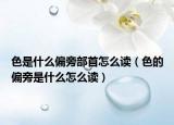 色是什么偏旁部首怎么读（色的偏旁是什么怎么读）