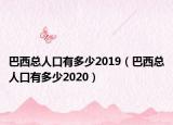 巴西总人口有多少2019（巴西总人口有多少2020）