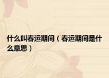 什么叫春运期间（春运期间是什么意思）