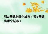 鄂w是湖北哪个城市（鄂b是湖北哪个城市）