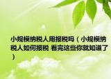 小规模纳税人用报税吗（小规模纳税人如何报税 看完这些你就知道了）