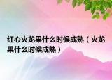 红心火龙果什么时候成熟（火龙果什么时候成熟）