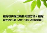 被蛇咬伤后正确的处理方法（被蛇咬伤怎么办 记住下面几招很管用）