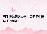 男生撩妹网名大全（关于男生撩妹子的网名）
