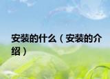 安装的什么（安装的介绍）
