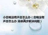 小音响没有声音怎么办（音响没有声音怎么办 简单两步解决问题）