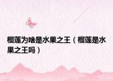 榴莲为啥是水果之王（榴莲是水果之王吗）