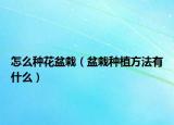 怎么种花盆栽（盆栽种植方法有什么）