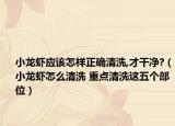 小龙虾应该怎样正确清洗,才干净?（小龙虾怎么清洗 重点清洗这五个部位）