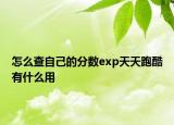 怎么查自己的分数exp天天跑酷有什么用