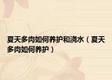 夏天多肉如何养护和浇水（夏天多肉如何养护）