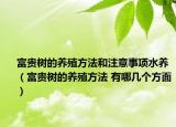富贵树的养殖方法和注意事项水养（富贵树的养殖方法 有哪几个方面）