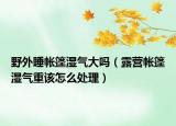 野外睡帐篷湿气大吗（露营帐篷湿气重该怎么处理）