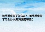 被毛毛虫蛰了怎么办?（被毛毛虫蛰了怎么办 处理方法有哪些）
