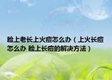 脸上老长上火痘怎么办（上火长痘怎么办 脸上长痘的解决方法）