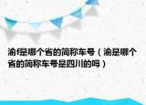 渝f是哪个省的简称车号（渝是哪个省的简称车号是四川的吗）