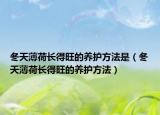 冬天薄荷长得旺的养护方法是（冬天薄荷长得旺的养护方法）