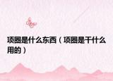 项圈是什么东西（项圈是干什么用的）