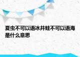 夏虫不可以语冰井蛙不可以语海是什么意思
