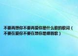 不要再想你不要再爱你是什么歌的歌词（不要在爱你不要在想你是哪首歌）