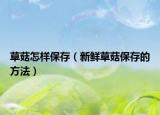 草菇怎样保存（新鲜草菇保存的方法）
