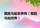 戴胜鸟能家养吗（戴胜鸟如何养）
