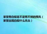 家里有白蚁是不是有不祥的预兆（家里出现白蚁什么兆头）