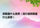 奈斯是什么意思（流行语奈斯是什么意思）