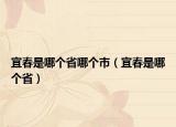 宜春是哪个省哪个市（宜春是哪个省）