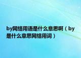 by网络用语是什么意思啊（by是什么意思网络用词）