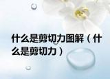 什么是剪切力图解（什么是剪切力）