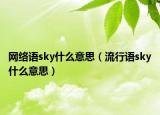 网络语sky什么意思（流行语sky什么意思）