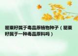 罂粟籽属于毒品原植物种子（罂粟籽属于一种毒品原料吗）