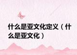 什么是亚文化定义（什么是亚文化）
