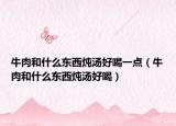 牛肉和什么东西炖汤好喝一点（牛肉和什么东西炖汤好喝）