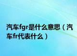 汽车fgr是什么意思（汽车fr代表什么）