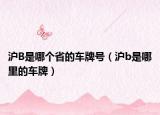 沪B是哪个省的车牌号（沪b是哪里的车牌）