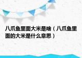 八爪鱼里面大米是啥（八爪鱼里面的大米是什么意思）