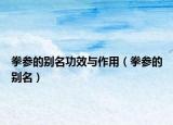 拳参的别名功效与作用（拳参的别名）