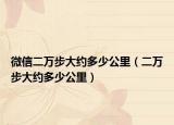微信二万步大约多少公里（二万步大约多少公里）