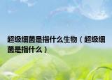 超级细菌是指什么生物（超级细菌是指什么）