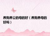 养狗养公的母的好（养狗养母的好吗）