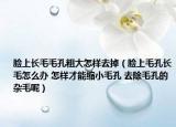 脸上长毛毛孔粗大怎样去掉（脸上毛孔长毛怎么办 怎样才能缩小毛孔 去除毛孔的杂毛呢）