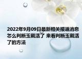 2022年9月09日最新相关报道消息 怎么判断玉戴活了 来看判断玉戴活了的方法